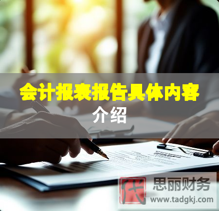 會(huì)計(jì)報(bào)表報(bào)告具體內(nèi)容介紹