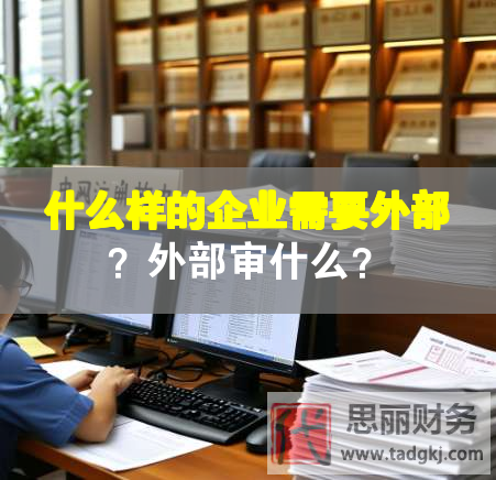 什么樣的企業(yè)需要外部？外部審什么？