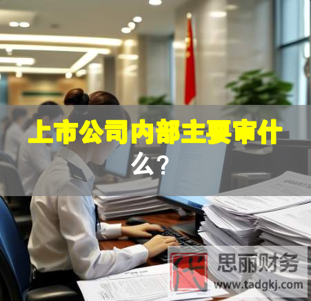 上市公司內(nèi)部主要審什么？