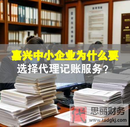 嘉興中小企業(yè)為什么要選擇代理記賬服務(wù)？