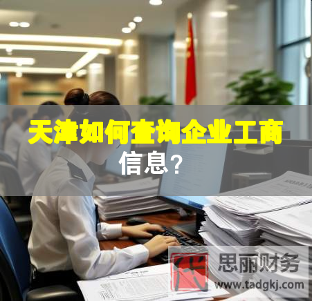 天津如何查詢企業(yè)工商信息？