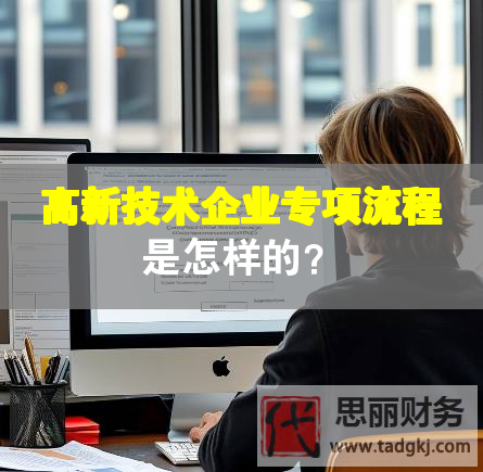 高新技術(shù)企業(yè)專項(xiàng)流程是怎樣的？