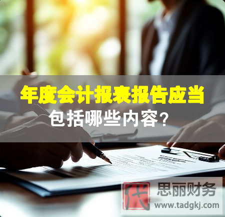 年度會計報表報告應(yīng)當包括哪些內(nèi)容？