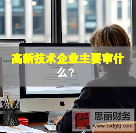 高新技術(shù)企業(yè)主要審什么？