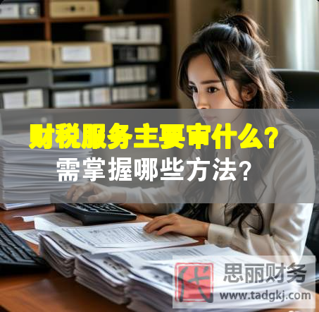 財稅服務(wù)主要審什么？需掌握哪些方法？