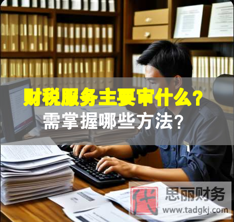 財稅服務(wù)主要審什么？需掌握哪些方法？