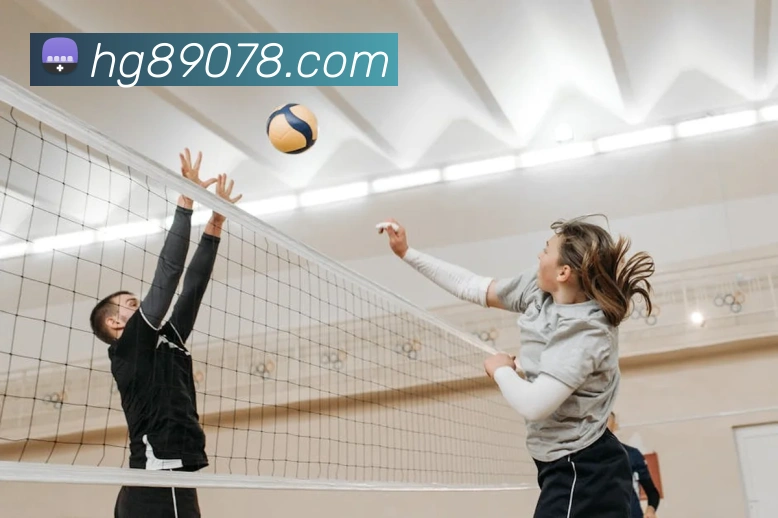 皇冠网官网平台生态图